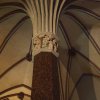 malbork 56